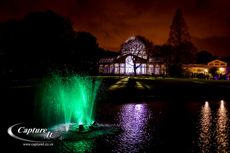 syon-park-enchanted-woodland-02