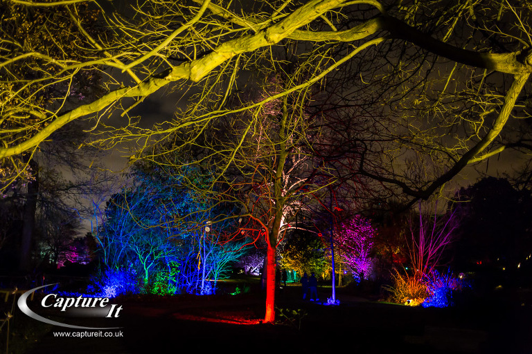 syon-park-enchanted-woodland-07