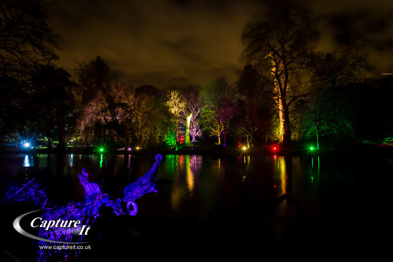 syon-park-enchanted-woodland-08