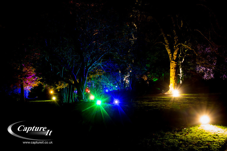 syon-park-enchanted-woodland-09