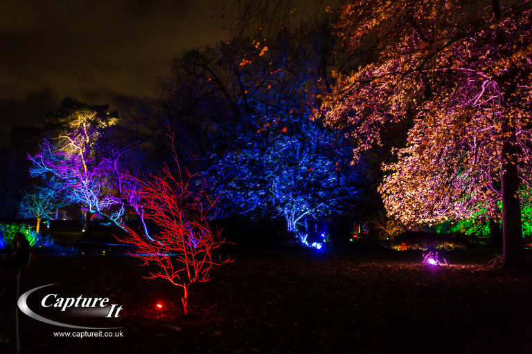 syon-park-enchanted-woodland-11