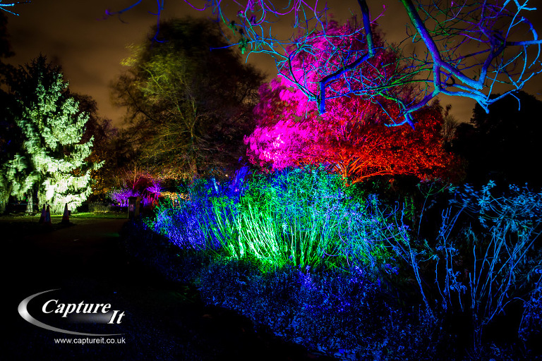 syon-park-enchanted-woodland-12