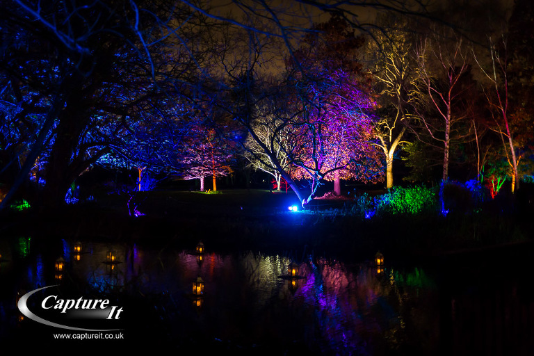 syon-park-enchanted-woodland-14
