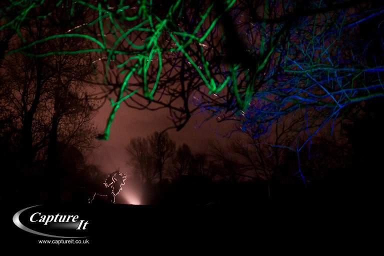 syon-park-enchanted-woodland-16