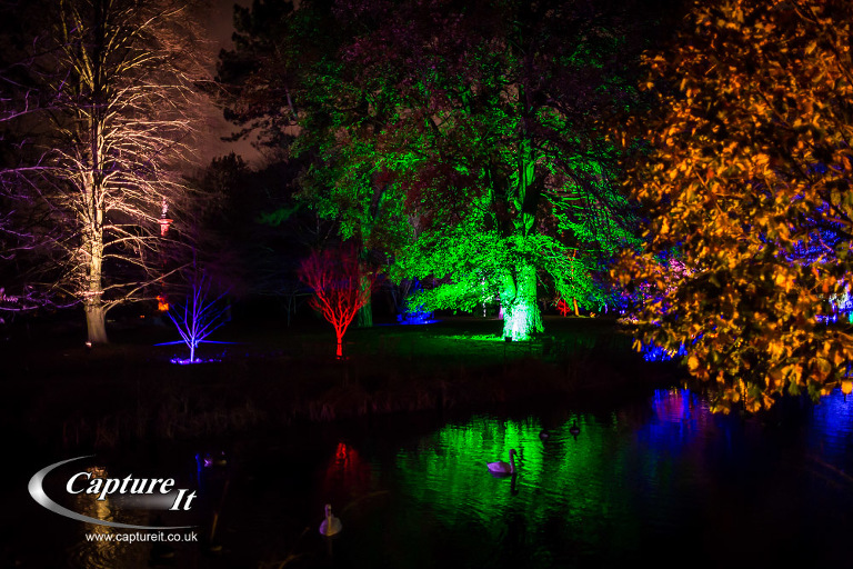 syon-park-enchanted-woodland-17
