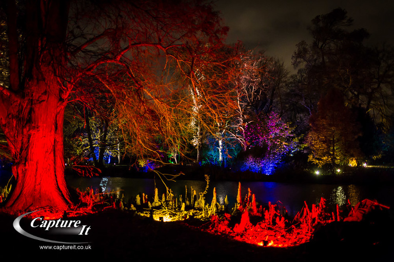 syon-park-enchanted-woodland-18