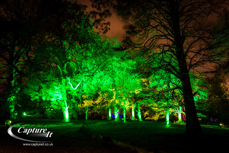 syon-park-enchanted-woodland-19